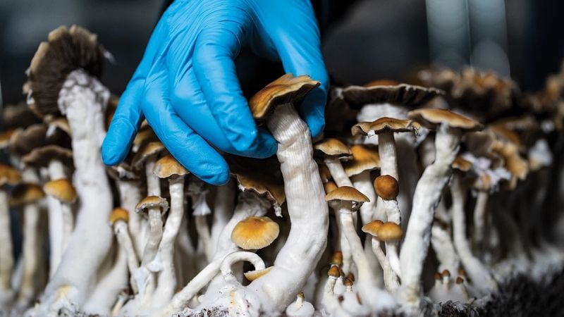 The bill aims to ensure the VA is prepared to safely implement emerging mental health treatments as they become available.