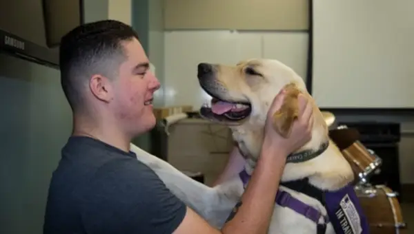 Service Dogs Assisting Veterans Act Eases Access to K-9s