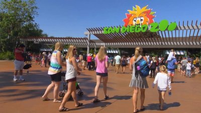 25+ Things to Do Near MCAS Miramar in San Diego, El Cajon, and Del Mar