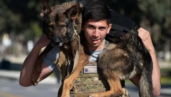 National K9 Veterans Day Honors the Sacrifice & Service of Military Dogs