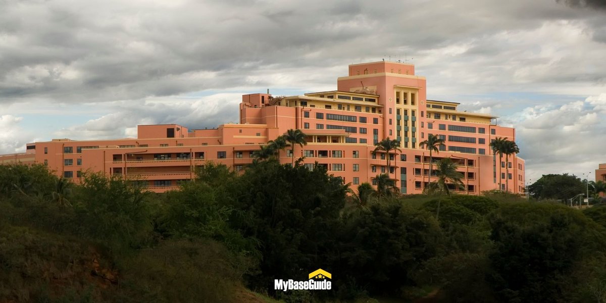 16 of the Best Things To Do in Hawaii Near Tripler Army Medical Center