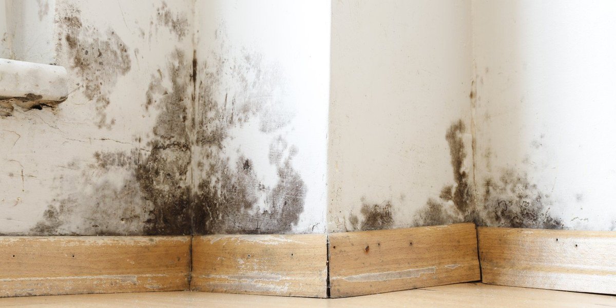 Fort Bragg Mold-Infested Barracks Victims Finally Evacuated