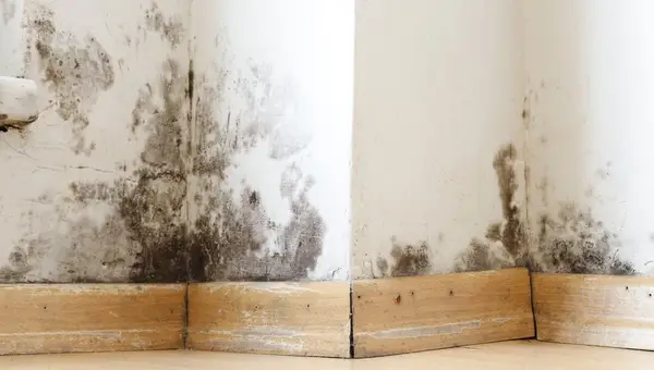 Fort Bragg Mold-Infested Barracks Victims Finally Evacuated