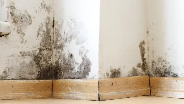 Fort Bragg Mold-Infested Barracks Victims Finally Evacuated