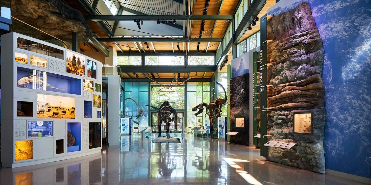 Witte Museum: A Natural Science Center Everyone Should Experience
