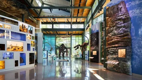 Witte Museum: A Natural Science Center Everyone Should Experience