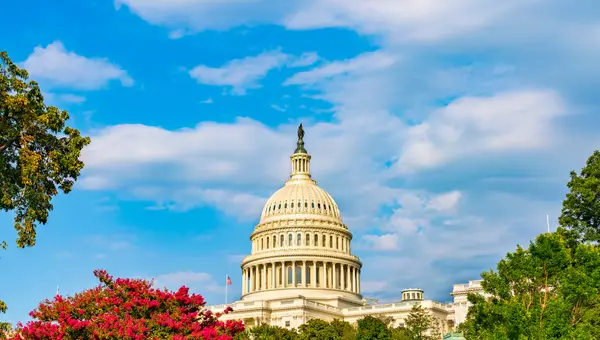 Big Changes for Veterans? A Closer Look at 2025 Veteran Bills & Their Impact