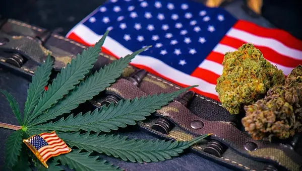 FDA Approves Cannabis Study for Veteran PTSD Treatment
