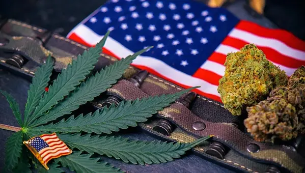 FDA Approves Cannabis Study for Veteran PTSD Treatment
