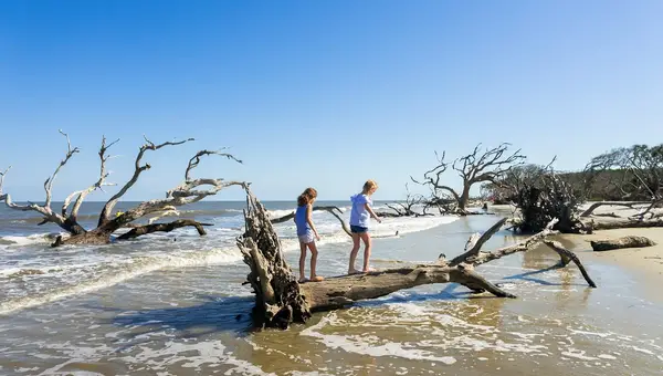 25+ Things to Do Near Moody AFB in Clarksville, Valdosta, and More!