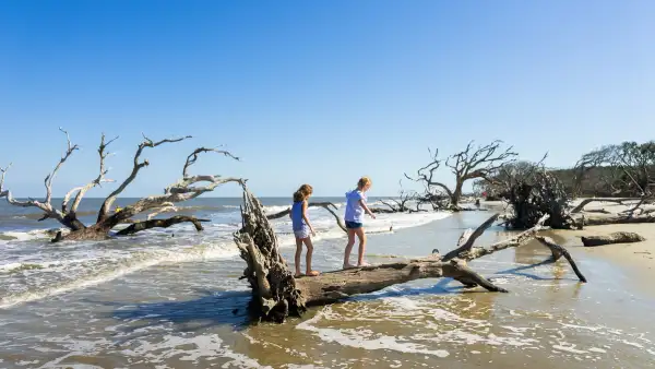 25+ Things to Do Near Moody AFB in Clarksville, Valdosta, and More!