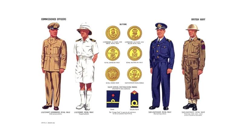 VeteranLife article