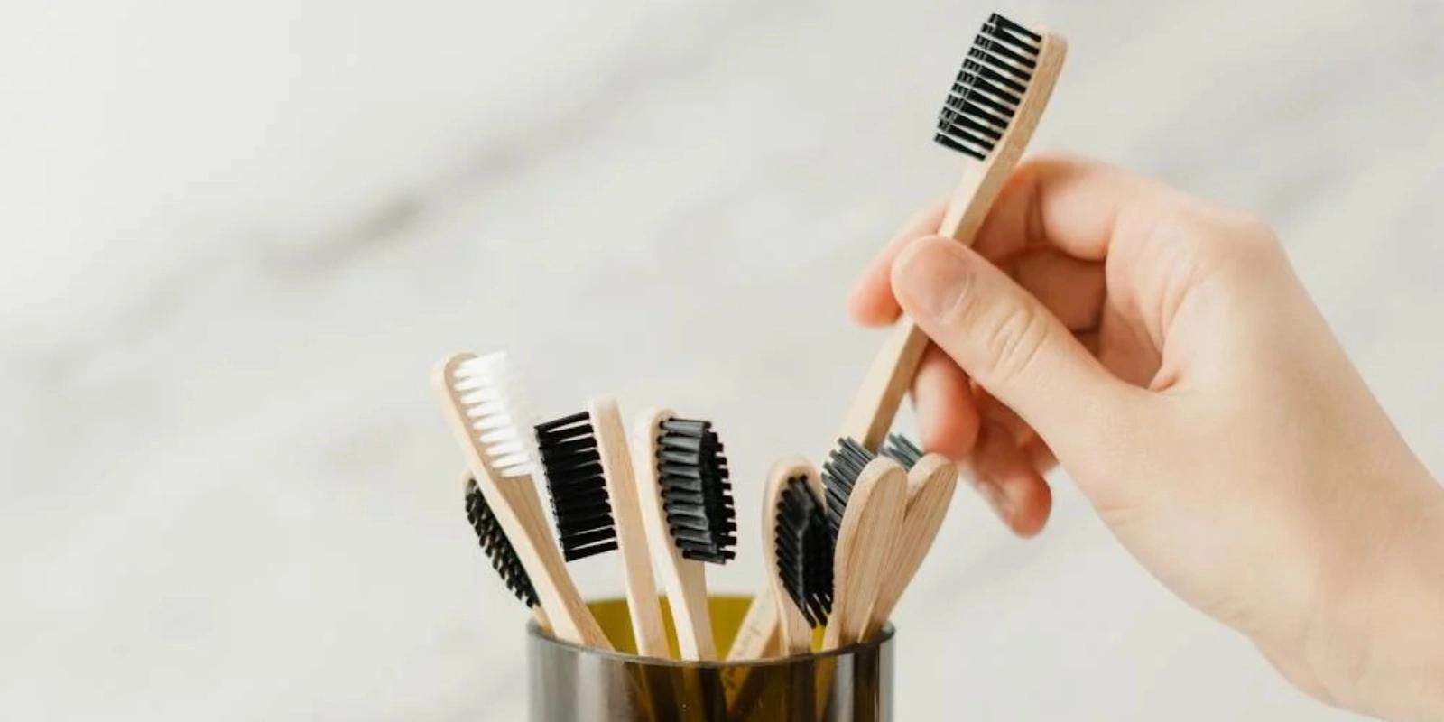 Hand placing bamboo toothbrush in holder with other brushes.