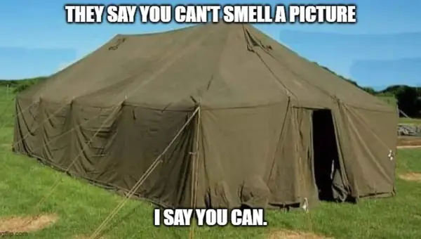 Dive Into Laughter: The Funniest Marine Memes