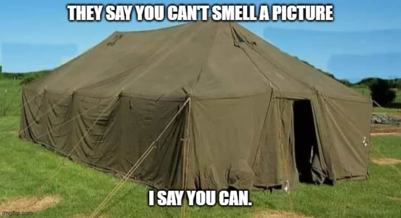 Dive Into Laughter: The Funniest Marine Memes