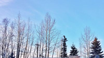 Joint Base Elmendorf-Richardson (JBER) Welcome Guide