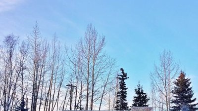 Joint Base Elmendorf-Richardson (JBER) Welcome Guide