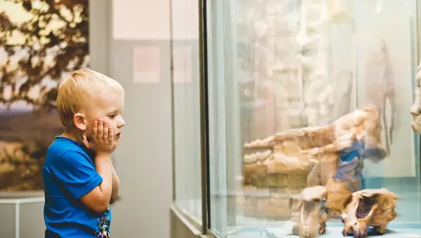 Top 6 Kid-Friendly Museums in Utah Near Hill AFB