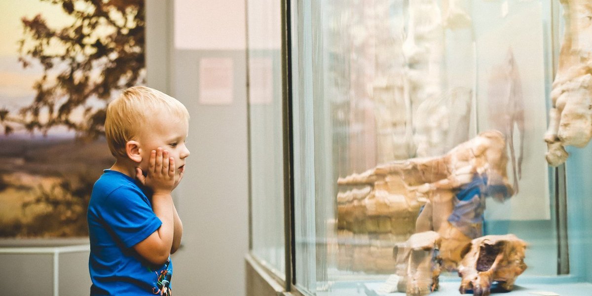 Top 6 Kid-Friendly Museums in Utah Near Hill AFB
