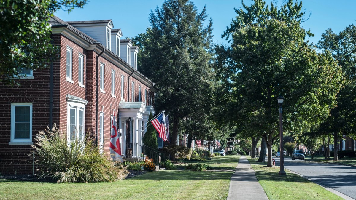 Tree-lined street of military housing.