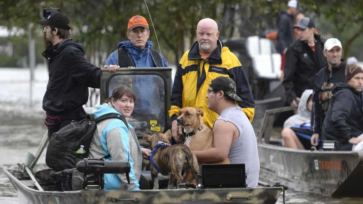 Still Looking To Serve? Consider Joining Cajun Navy