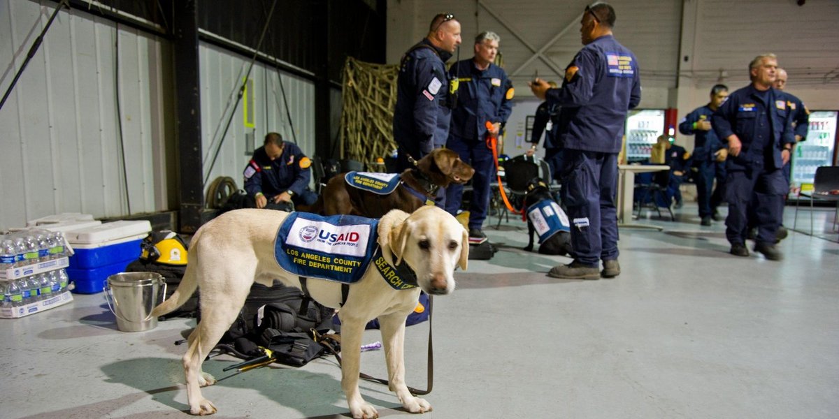 Kahramanmaras Earthquake Triggers Military Search and Rescue