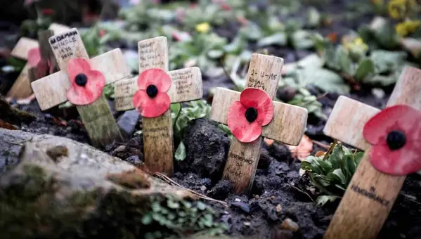 Veterans Day’s Evolution: The History Behind WWI Armistice Day