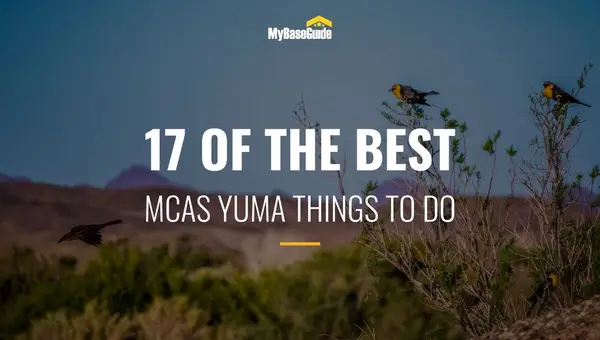 17 of the Best MCAS Yuma Things To Do