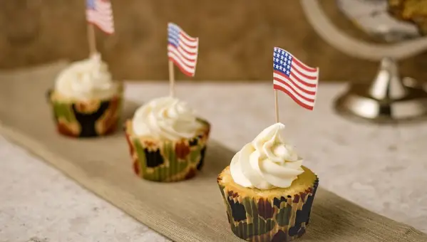 U.S. Army Birthday: Saluting 249 Years of Service