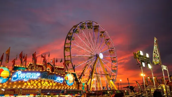 Don't Miss Next Year's Fort Bragg Fair