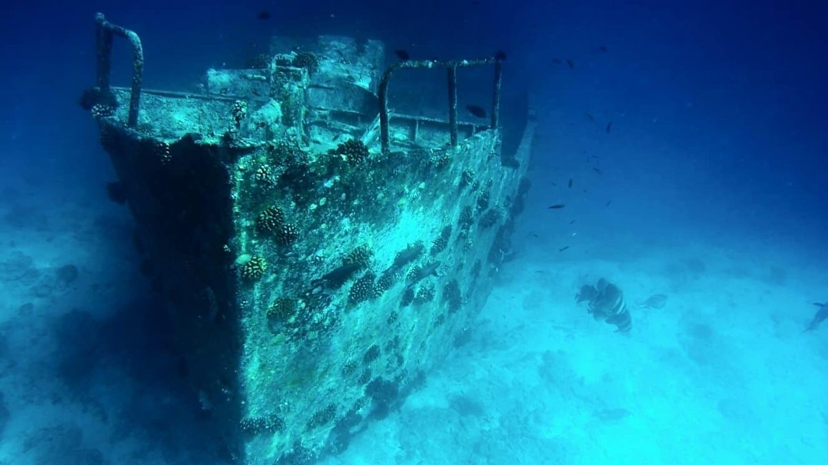 6 Underwater Discoveries Reveal What the Military Has Lost in the Ocean