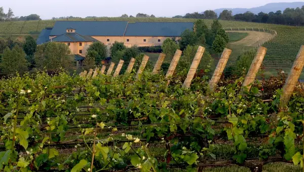 20+ Things to Do Near Fort Bragg, in Fayetteville, Spring Lake, Hope Mills, and More!