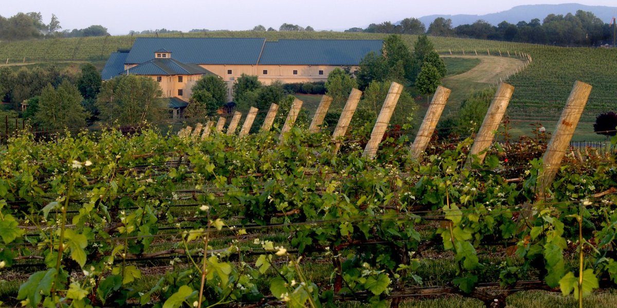 The Shelton Vineyards are just one of many things to visit near Fort Bragg, NC.