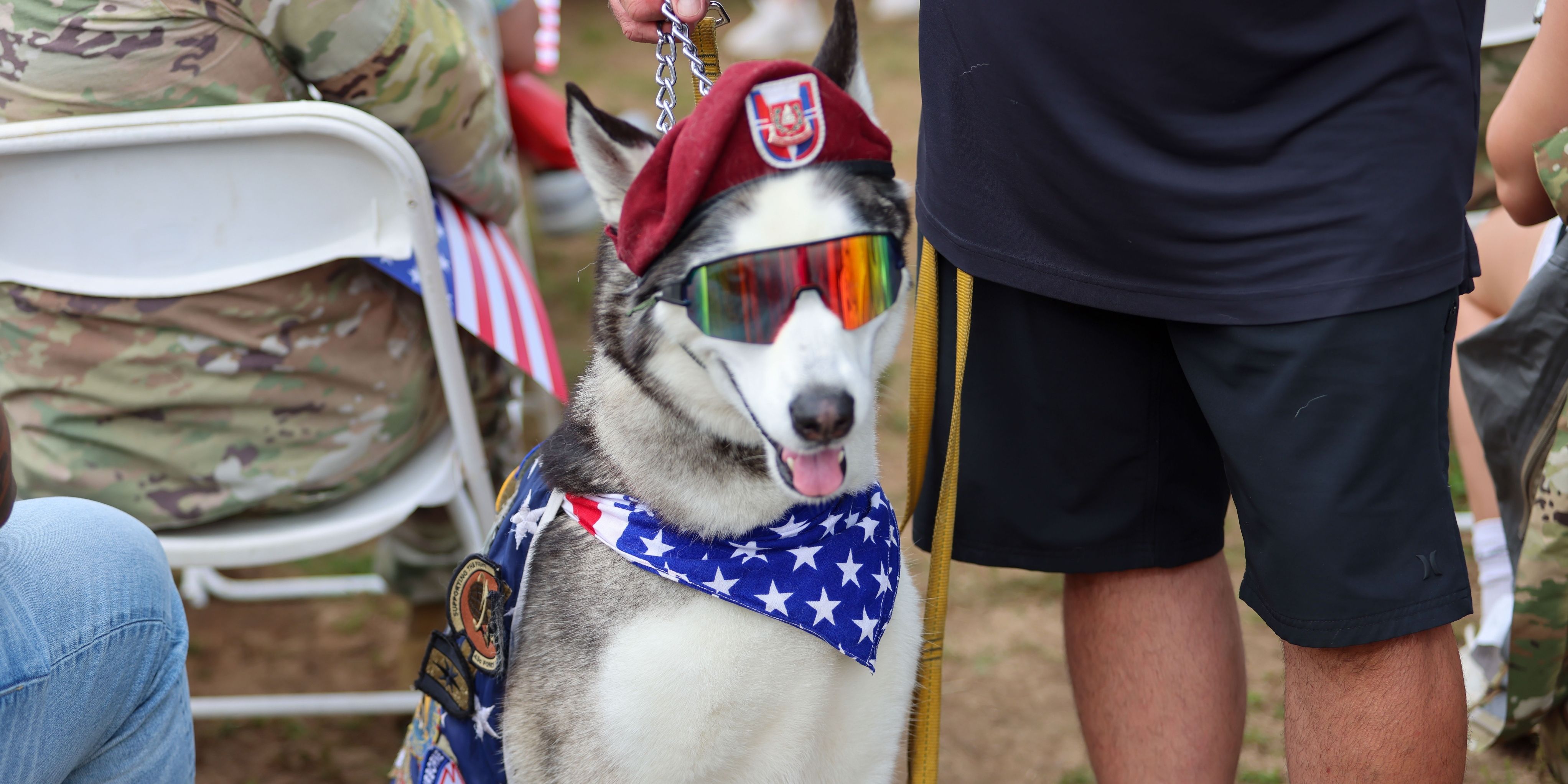 Fort Bragg Therapy Dog Named Sapper Wins USO's Top Honor