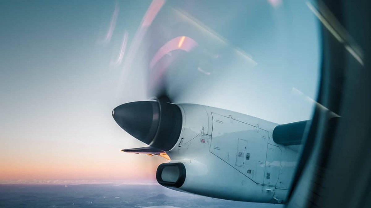 Veterans Day 2025 Travel Deals: Top Discounts for Military