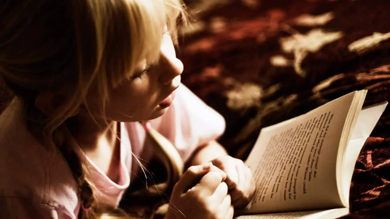 Veterans Day Books Parents and Kids Can Enjoy Together