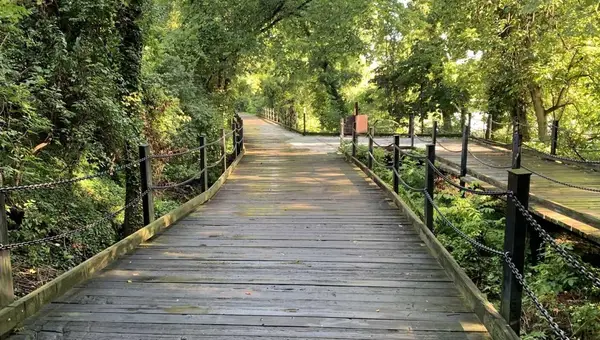 25+ Things to Do Near Fort Belvoir in Fairfax County, Springfield, and More!