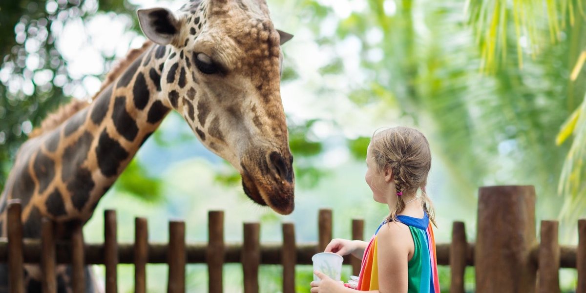 The Elmwood Park Zoo Delivers Affordable Adventures