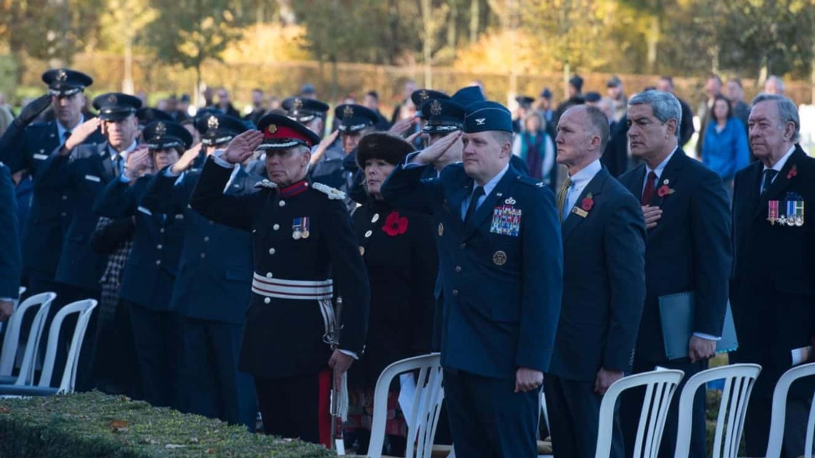 11 Facts About Veterans Day You Never Knew