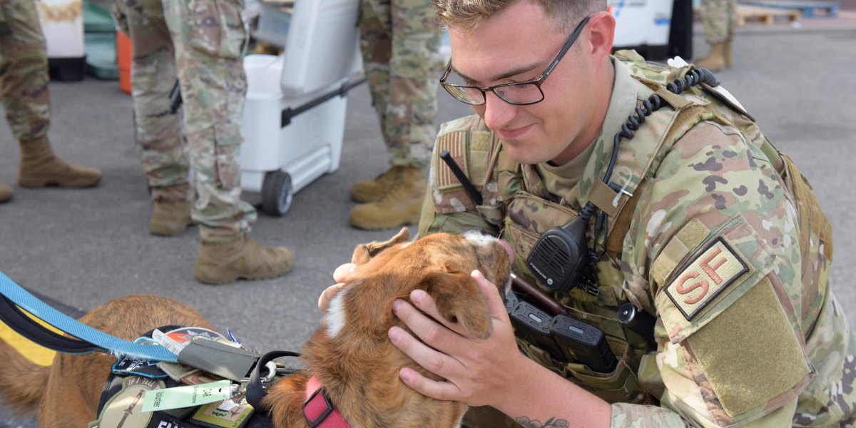 A soldier pets a therapy dog.