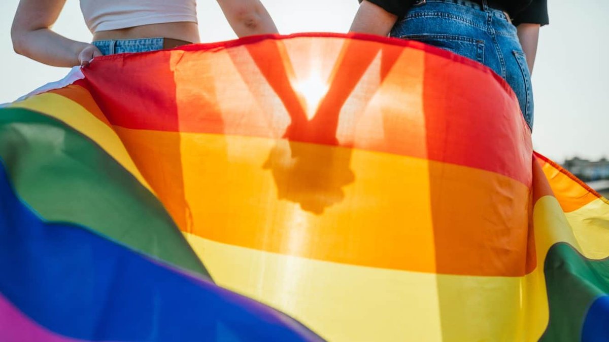 LGBTQ couple holding hands behind rainbow flag in sunlight