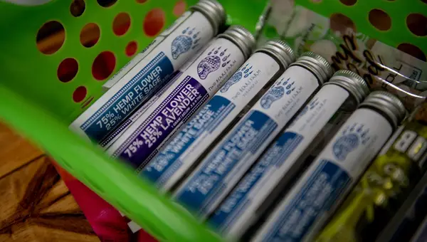 Veterans Move Closer to Medical Marijuana Access Through VA Doctors After House Vote