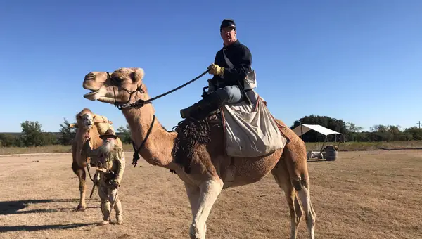 U.S. Army Camel Corps: Historic Military Experiment