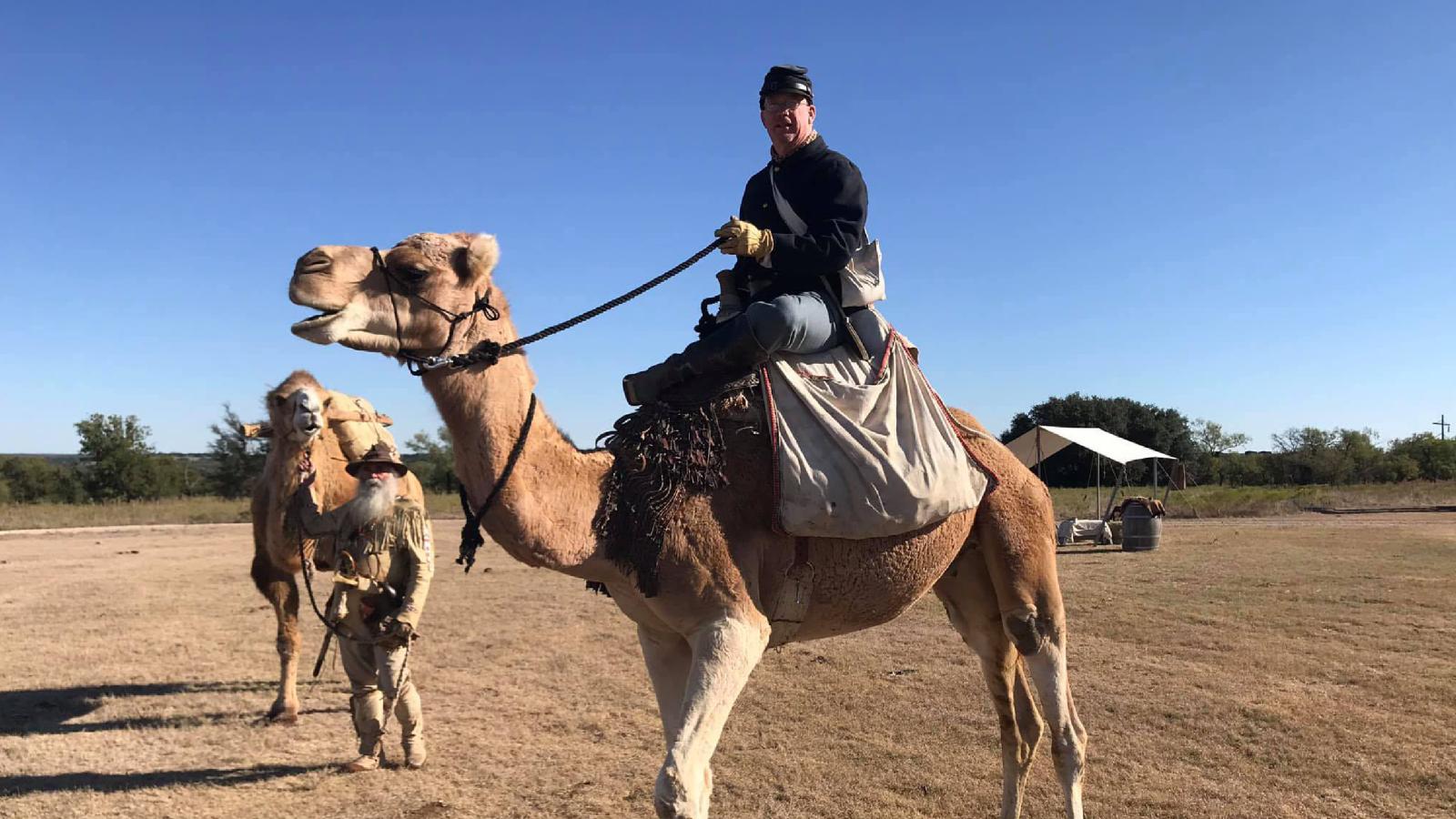 u.s. camel corps