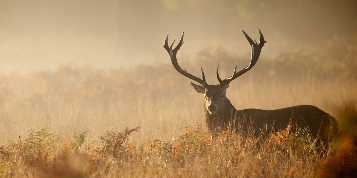 Enjoy the Great Outdoors With iSportsman Fort Gordon