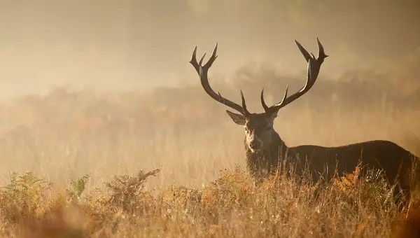 Enjoy the Great Outdoors With iSportsman Fort Gordon