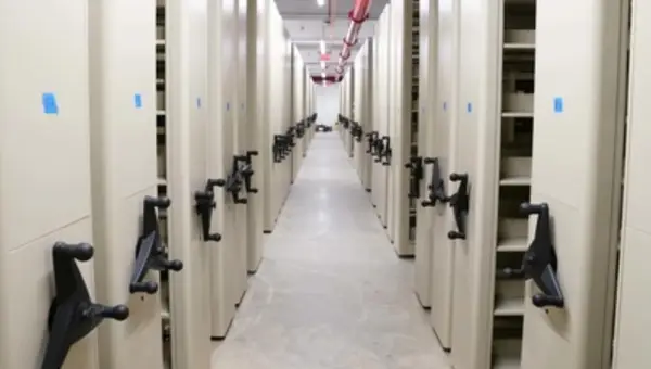 Army and Air Force Remove DEI Books from Libraries