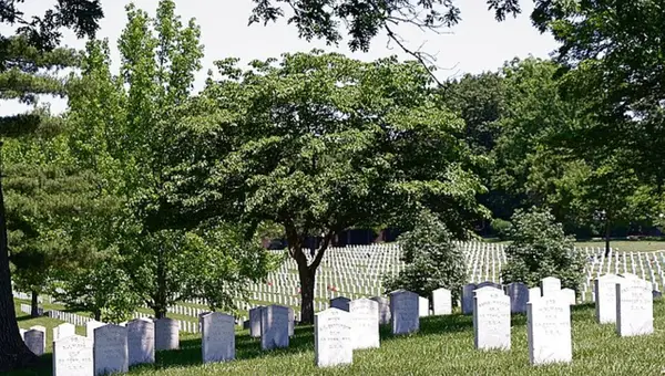 Restoration Honors Black Military Heroes at Historic Graveyard
