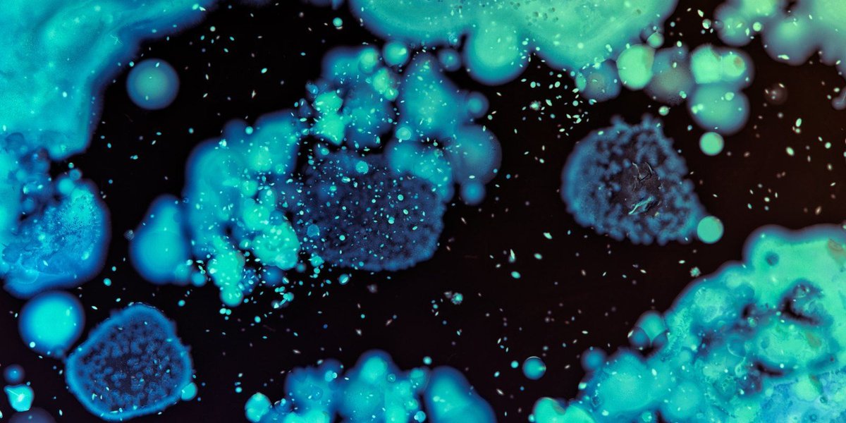 Fungi in Space Will Revolutionize Space Travel