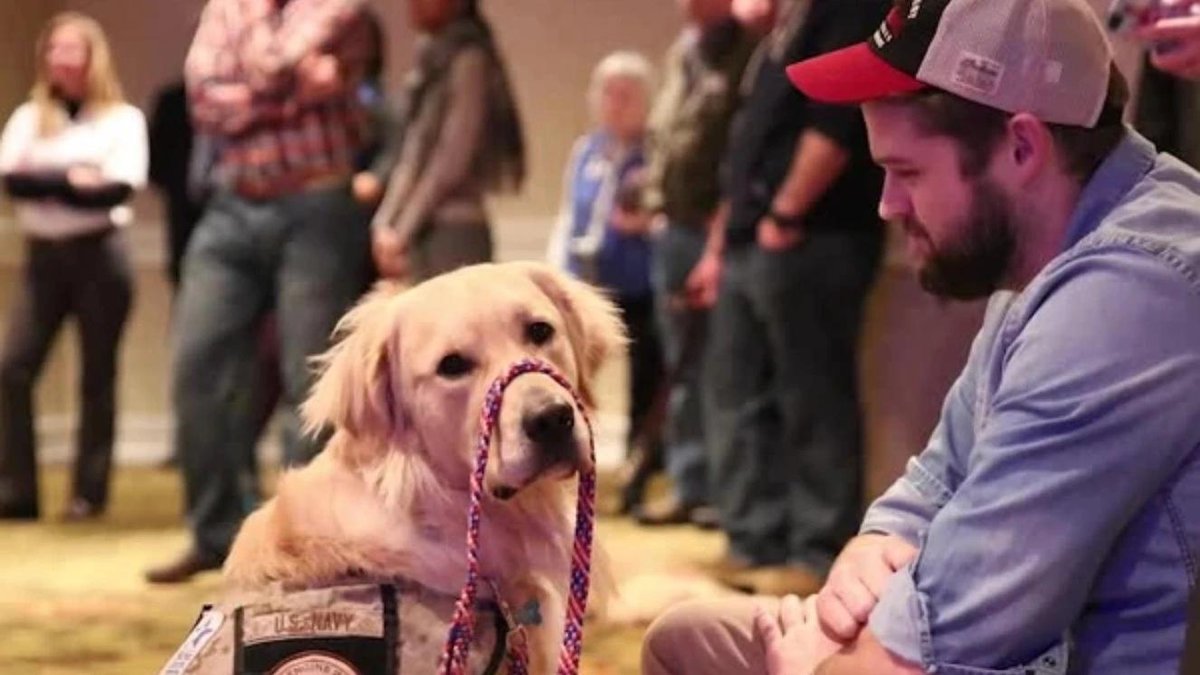Warrior Canine Connection Helps Vets Overcome Mental Health Issues With Puppies